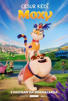 Cesur Kedi Moxy